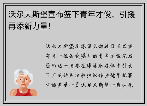 沃尔夫斯堡宣布签下青年才俊，引援再添新力量!