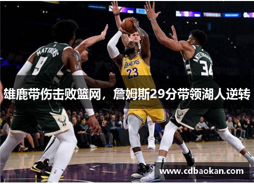 雄鹿带伤击败篮网，詹姆斯29分带领湖人逆转
