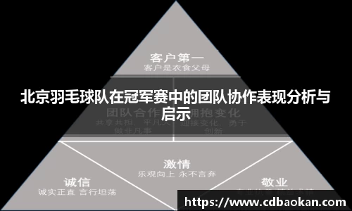 北京羽毛球队在冠军赛中的团队协作表现分析与启示